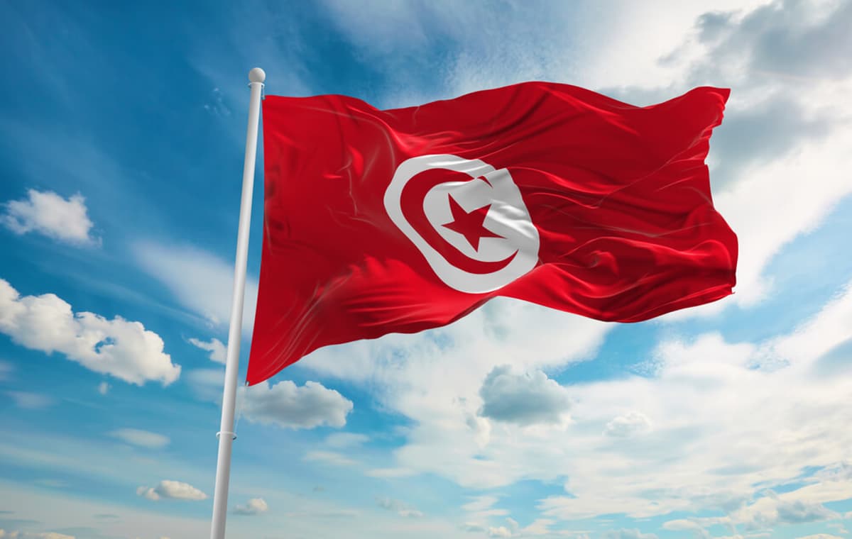 Tunisia's Ambitious Hydrogen Initiative with European Partners